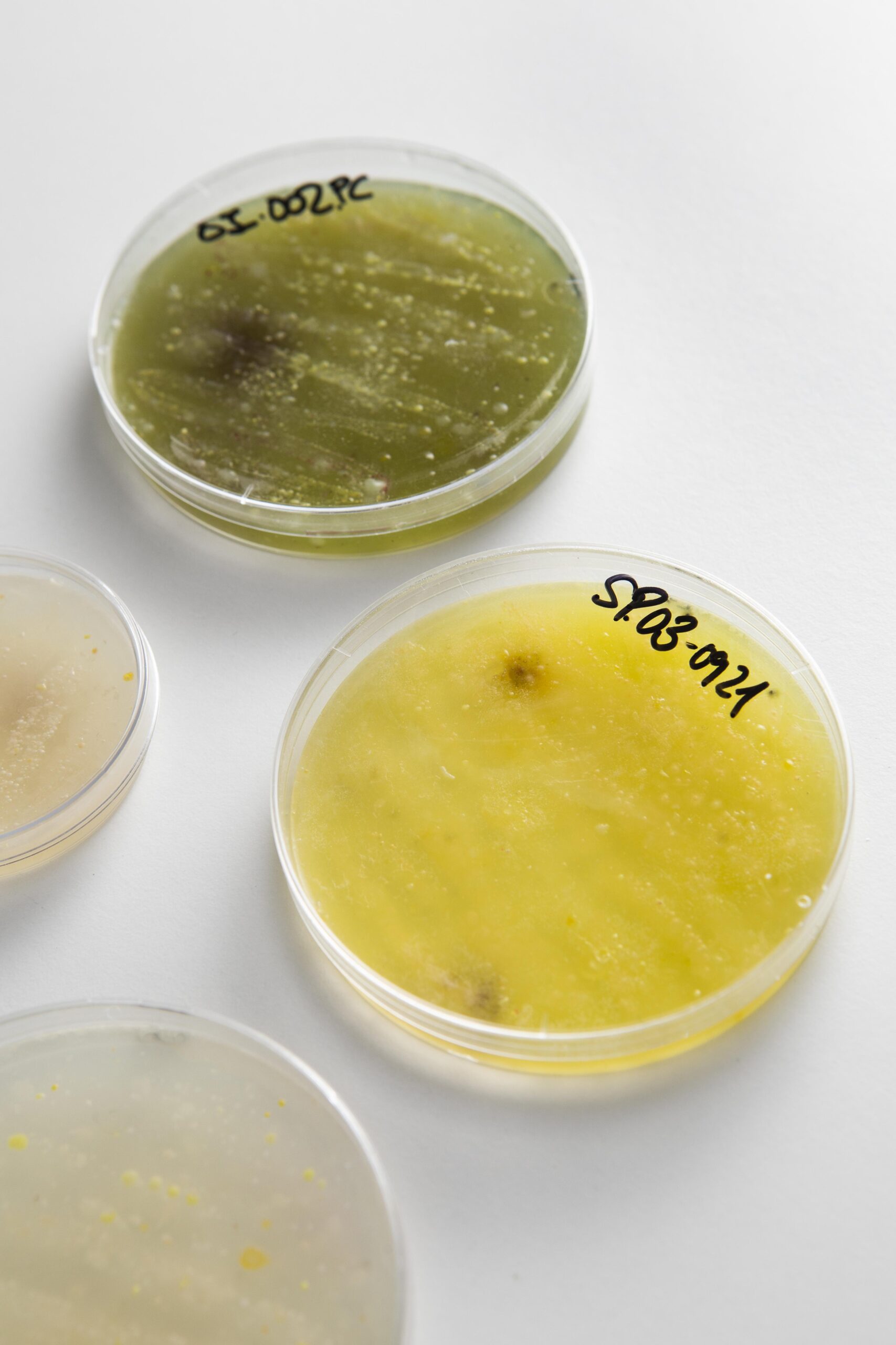Microbiome Tests-3 Microbiome Tests-3